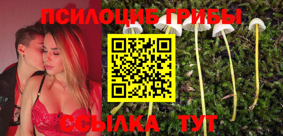 Галлюциногенные грибы Magic Shrooms Серпухов