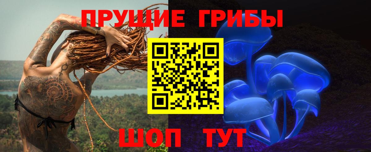 закладка  Псилоцибиновые грибы Psilocybine cubensis  Вход с VPN  Серпухов 