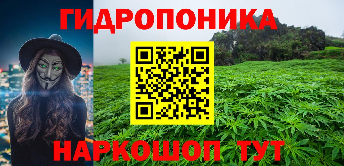 Бошки Шишки гибрид Серпухов